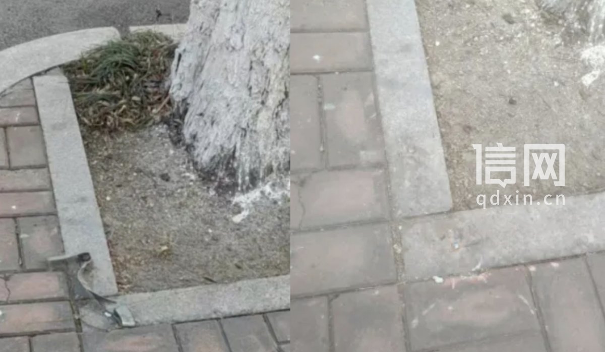 部分路段清理前（左）与清理后（右）对比照片。（来源：青岛市城阳区住建局）