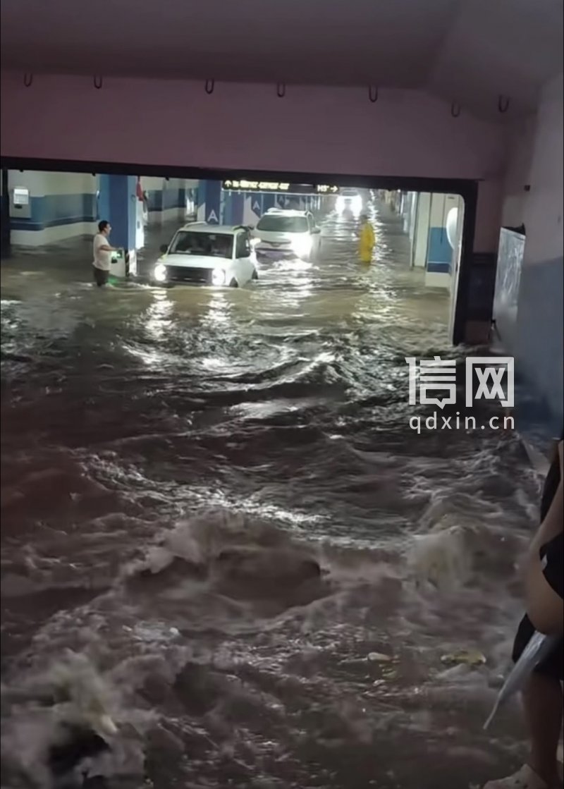 部分业主涉水下库开车。（来源：受访者）