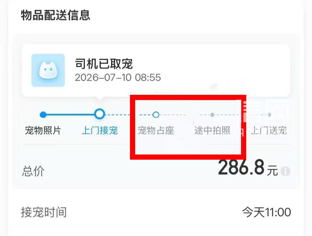 此次订单中含有“宠物占座”“途中拍照”项目。（来源：受访者）