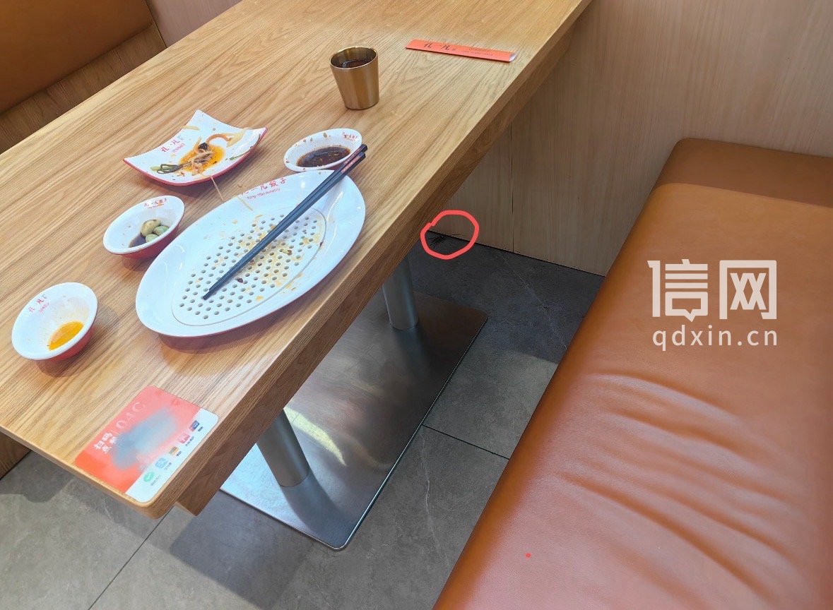 店内的蟑螂。（来源：受访者）