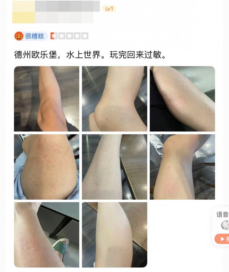 部分网友的点评。（来源：网络截图）