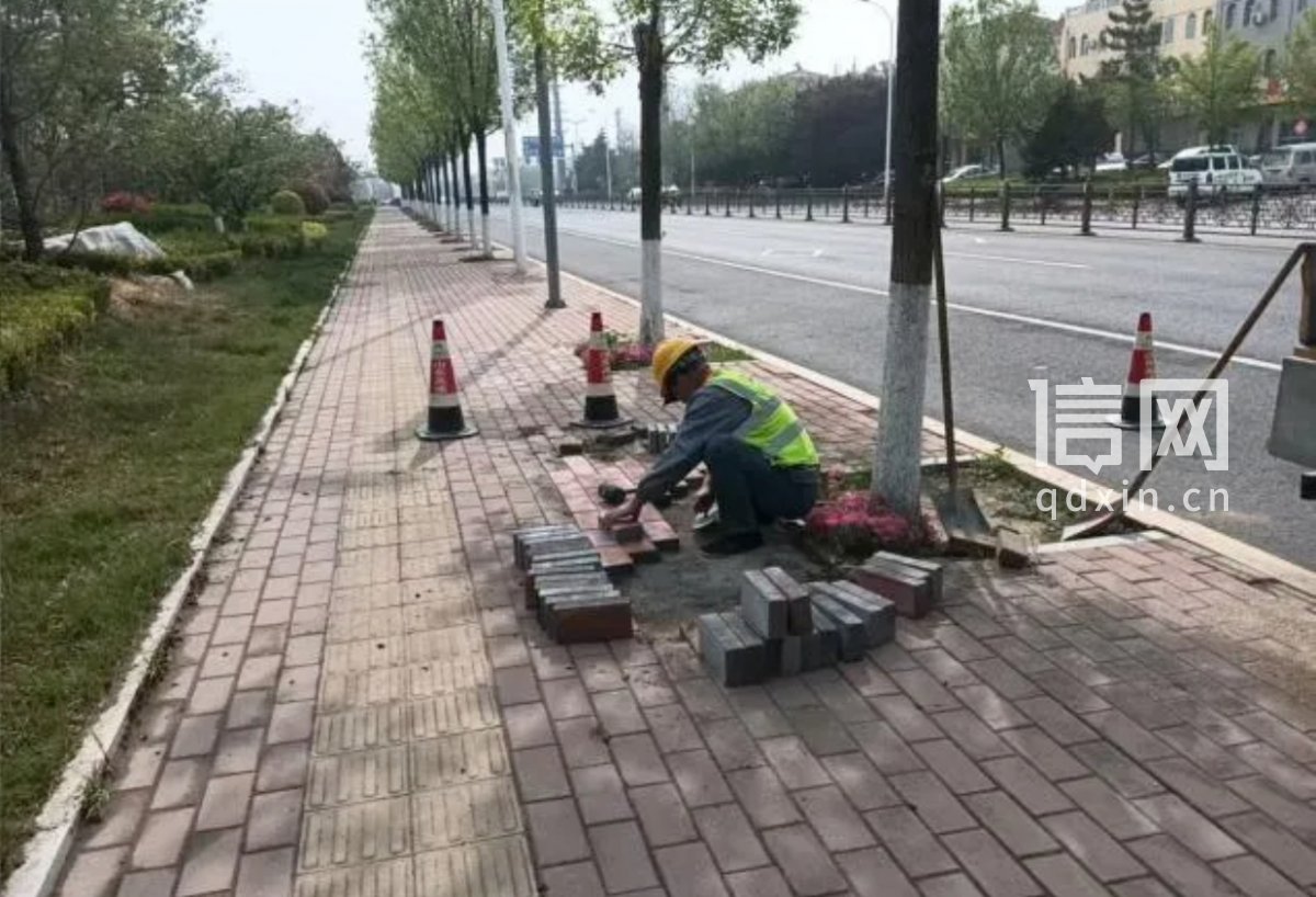 现场相关照片。（来源：平度市城乡建设局）