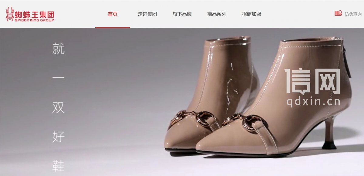  （来源：蜘蛛王集团官网截图）