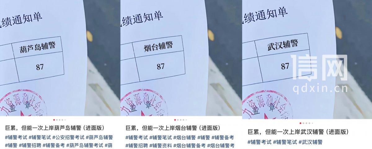 网上宣传的成绩通知单。（来源：受访者）