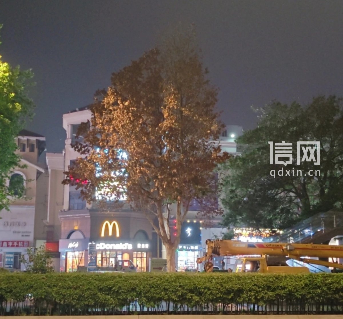 袋子里装的名为“营养液”实为“毒药”。（来源：青岛市城阳区住建局）