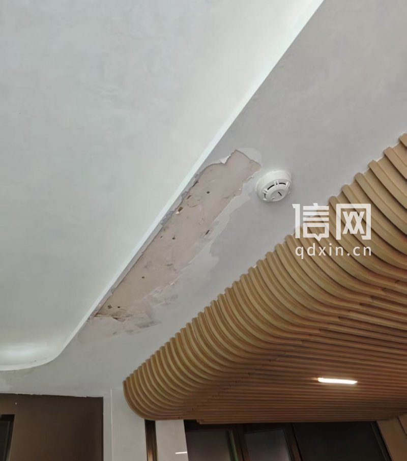 天花板渗漏位置。（来源：受访者）
