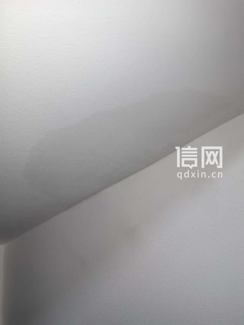 朱女士同楼邻居家中墙壁渗水情况。 （来源：受访者）