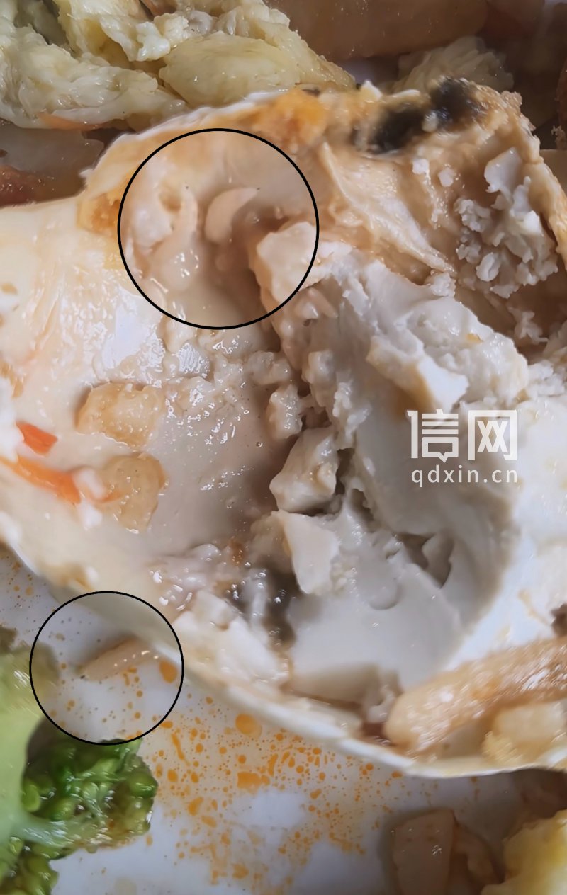 程先生提供的视频截图中可见数只肉虫。（来源：受访者）
