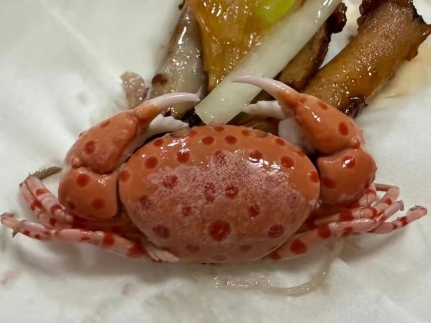买海鲜混入毒蟹险酿大祸！螃蟹季食鲜，小心这些海洋“毒物”