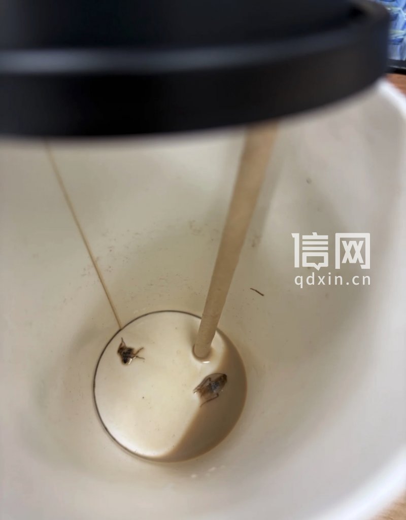 消费者称喝完的咖啡底部有两片异物，疑似蟑螂残骸。（来源：受访者）