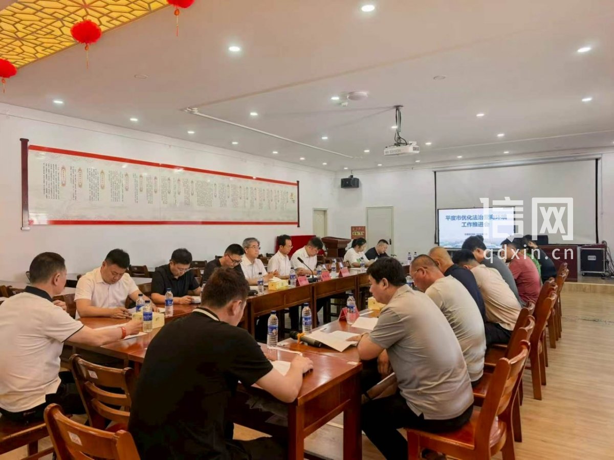 深化法治助企行动。（来源：平度法院）