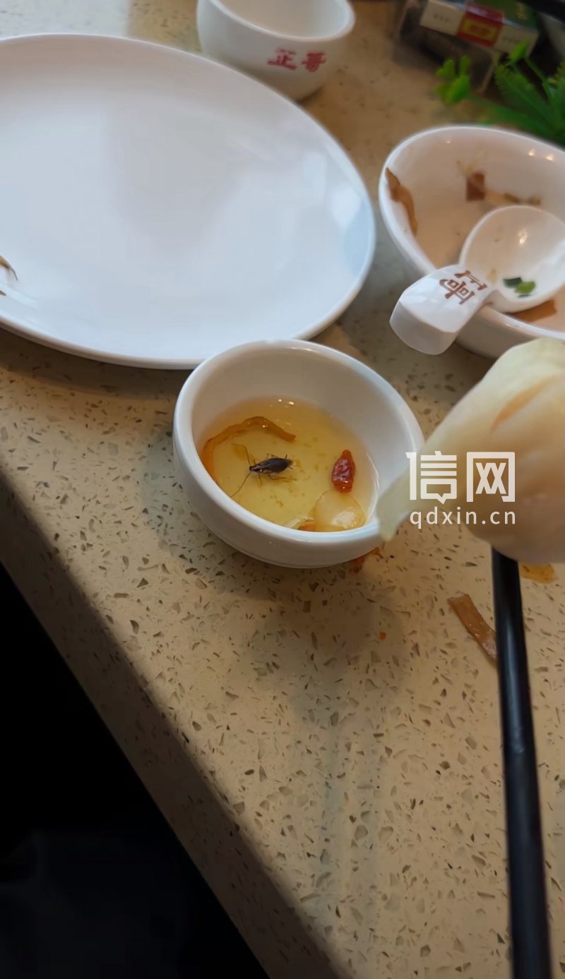 参汤里的蟑螂。（来源：受访者）