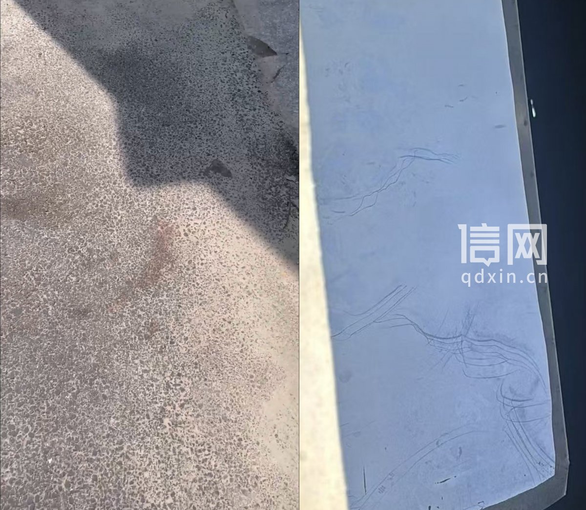 洪先生家楼下的疑似猫咪血迹以及疑似猫咪抓痕。（来源：受访者）