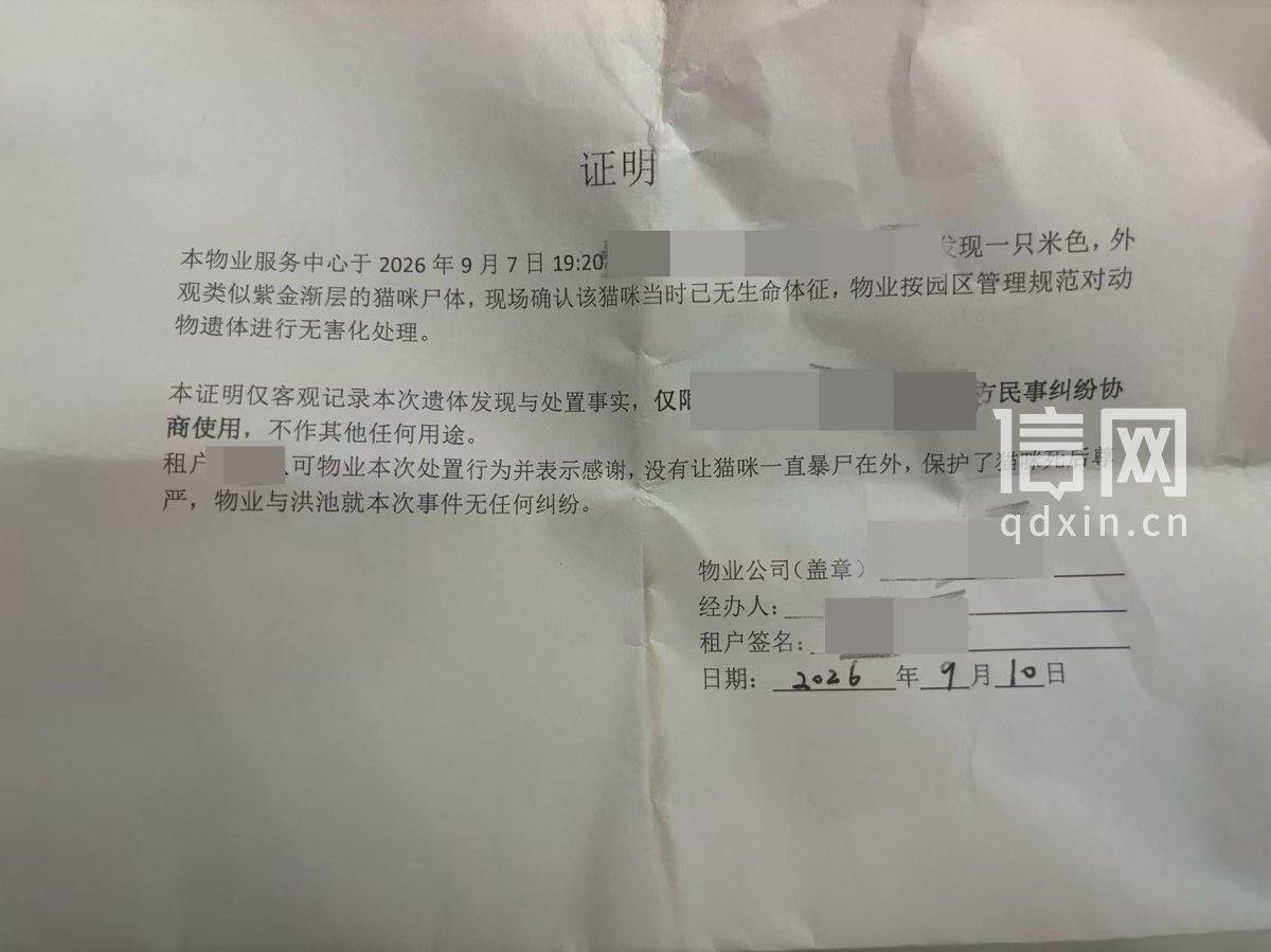 物业向洪先生出示的相关证明。（来源：受访者）