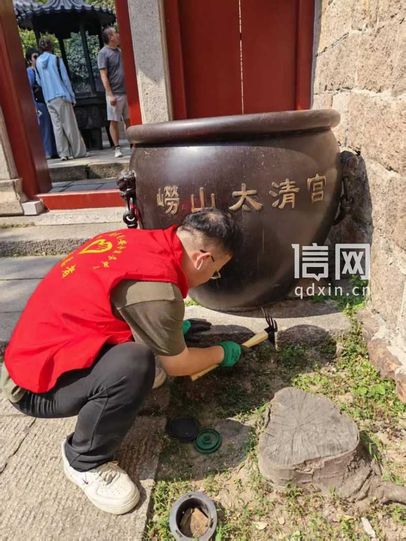 防治现场相关照片。(来源:青岛市住房和城乡建设局)