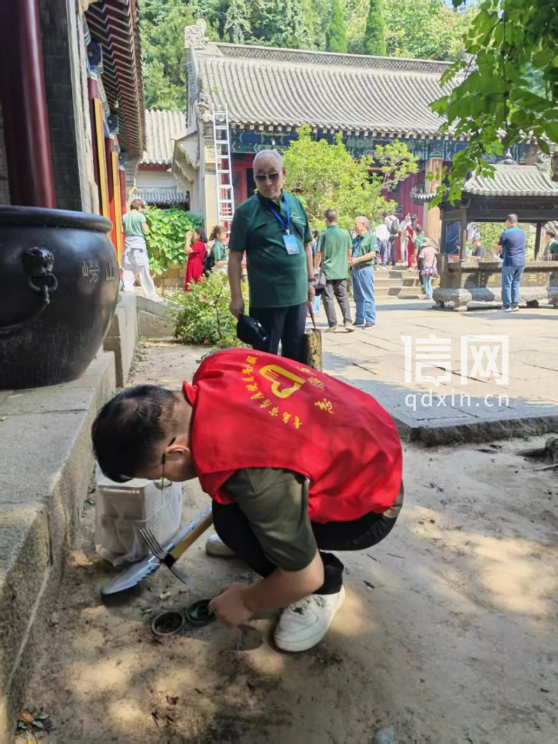 防治现场相关照片。(来源:青岛市住房和城乡建设局)