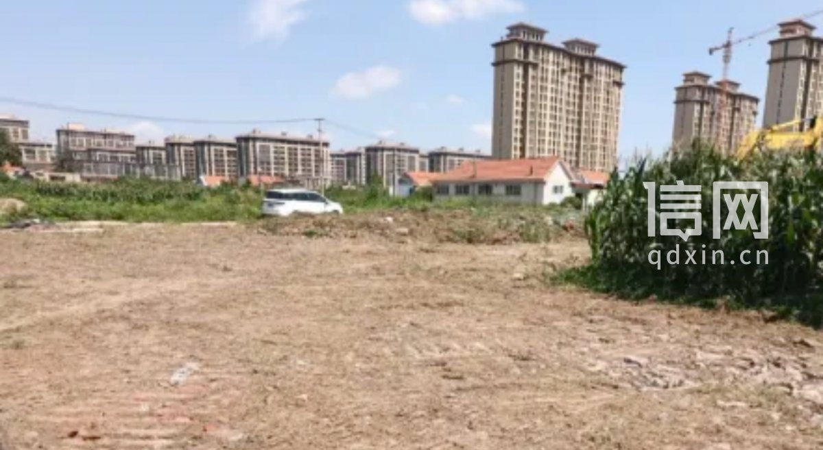 河套街道罗家营社区杂草清理整改前（上）与整改后（下）对比照片（来源：青岛市城阳区城市管理发展中心）