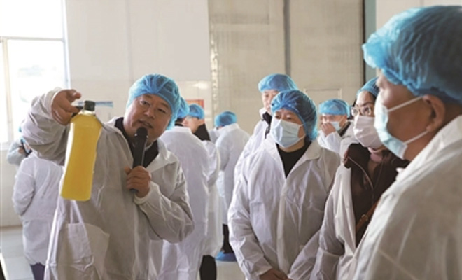 青岛获批国家级试点8项 标准化让出海港更智能