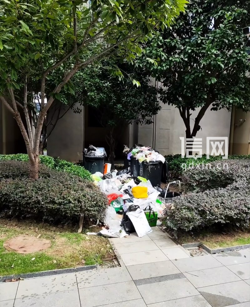 垃圾堆积情况。（来源：受访者）