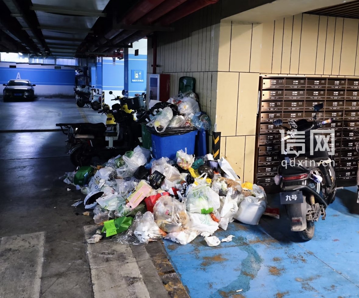垃圾堆积情况。（来源：受访者）