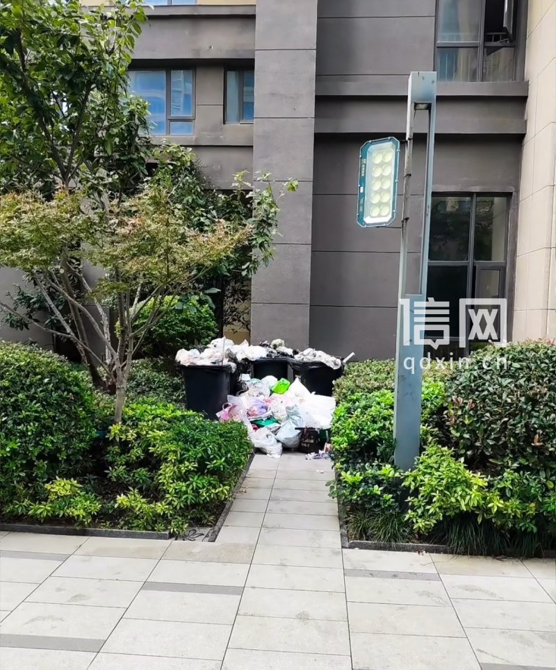 垃圾堆积情况。（来源：受访者）